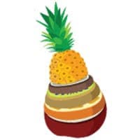 Fruit Bowl Digital logo